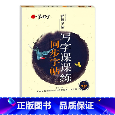 写字课课练同步字帖 1年级上册 [正版]罗扬字帖课堂笔记天天练练字帖人教版同步字帖一课一练硬笔钢笔临摹一二三四五六七八年