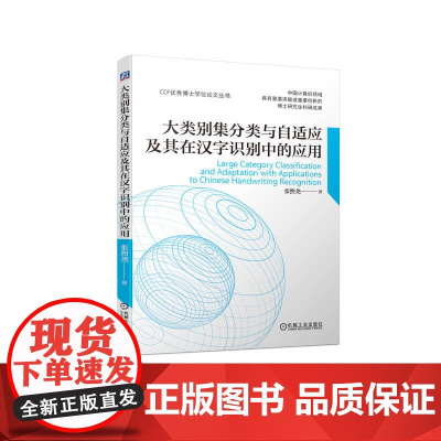 大类别集分类与自适应及其在汉字识别中的应用