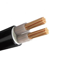 常顺鑫 低压铜芯电缆YJV22 0.6/1KV 2×16 米