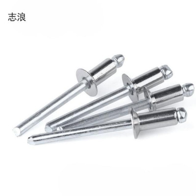 志浪 不锈钢沉头拉铆钉4*16 个