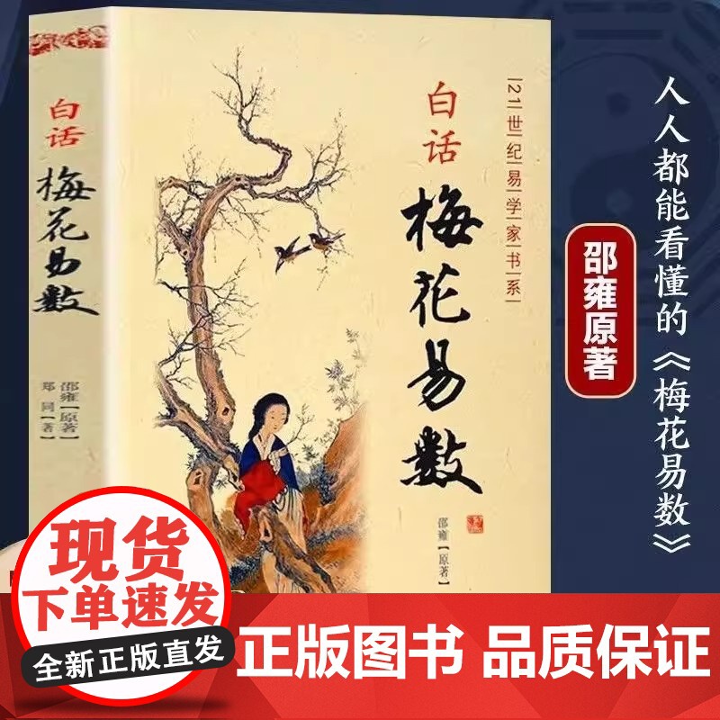 白话梅花易数 邵雍白话全解读 正版中国哲学现代白话文梅花易数书入门 周易经精解梅花易数入门财运出行谋划婚姻风水易学入门书