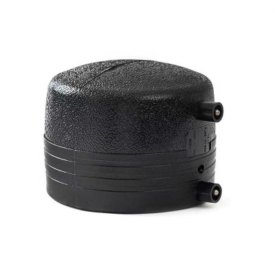 伟鹏双兴 PE电熔管帽堵头 315 个