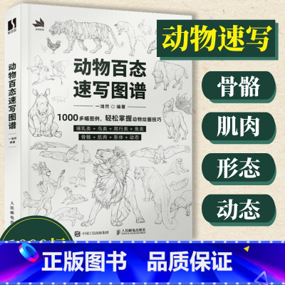 [正版]动物百态速写图谱 速写书速写临摹范本动物速写描摹本新手自学教程素描线描动物插画速写临摹图集线稿临摹画册美术技法