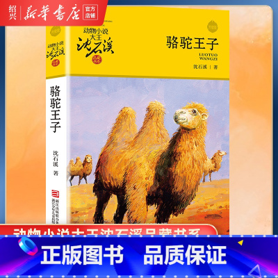 [正版]书店骆驼王子 升级版 动物小说大王沈石溪品藏书系 小学三四五六年级课外阅读书籍动物小说 浙江少年儿童出版社