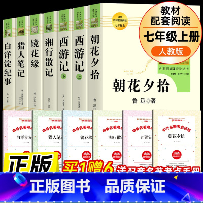 全套7册-七年级上册必读名著(学校推荐版全册) [正版]白洋淀纪事(人民教育出版社)孙犁原著完整版7年级上册初一语文名著