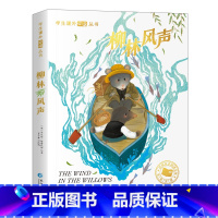 [彩色图案注音版]柳林风声 [正版]苦儿流浪记 彩绘注音版世界名着一年级阅读小学生课外书籍6-7-8-9-10岁儿童读物