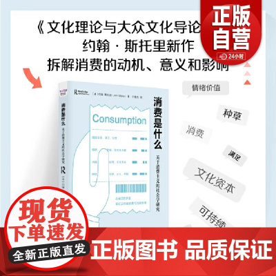 [正版] 消费是什么 : 关于消费主义的社会学研究(一本书告诉你为什么买买买之后也有巨大空虚感)zy