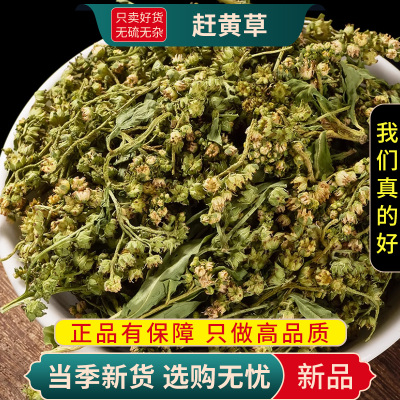 甄选干货赶黄草100克无硫扯根菜杨柳水泽兰水滓蓝煮水9260