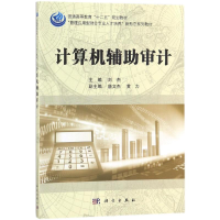 [M]计算机辅助审计-9787030535559