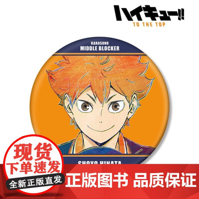 AMNIBUS 排球少年 Ani-Art BIG吧唧徽章Vol.4