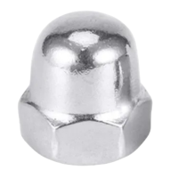 智铮朗月 盖形螺母 GB923 碳钢镀锌4级 M16 个