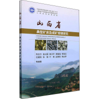醉染图书山西省典型矿床及成矿规律研究9787562549871