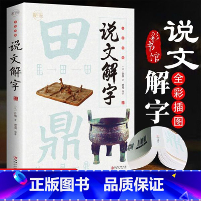 [正版]说文解字 小学生少儿学习汉字演变图解象形文字书字典给孩子的汉字王国一年级二三年级读物甲骨文字的演变注咬文嚼字合