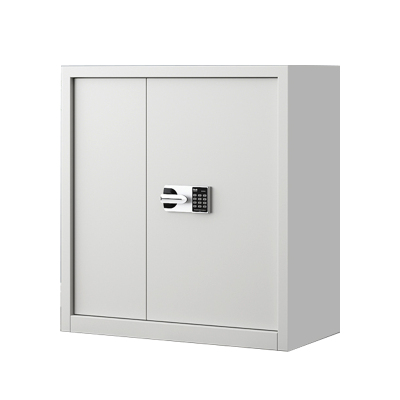 帅畅指纹电子保密柜钢制密码文件柜档案柜矮柜资料柜办公柜单节白色:国保锁