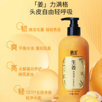 霸王-生姜洗发液(控油蓬松型)500g