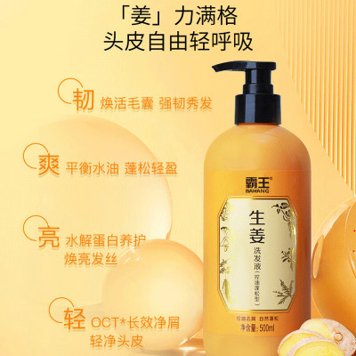 霸王-生姜洗发液(控油蓬松型)500g
