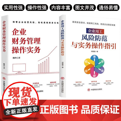 企业财务及劳务管理2册 企业财务管理操作实务企业用工风险防范与实务操作指引企业财务管理书创业指导书开公司指导企业财务管理