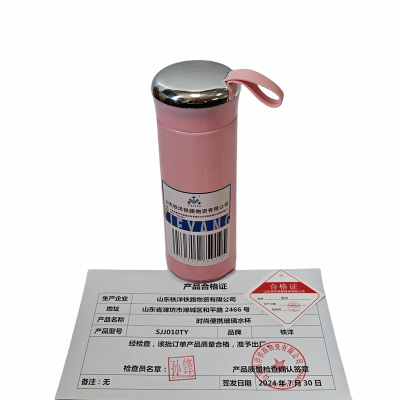 铁洋 玻璃水杯时尚便携 SJJ010TY/个