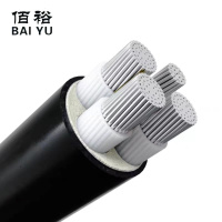 佰裕 铝芯铠装电缆 ZC-YJLV22 0.6/1KV 3*25+1*16 米