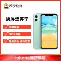 iPhoneXS 内屏碎，换内屏(漏液，黄斑，触摸不良等更换国产LCD总成)【苏宁自营 非原厂到店】