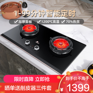 红日(RedSun)燃气灶双灶红外线灶大火力定时灶70%高热效加厚面板聚能灶节能省气不黑锅EM618BP 天然气