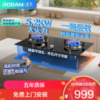 老板(Robam)[星辰系列]燃气灶家用双灶嵌入式煤气灶5.2kW可调节小尺寸灶具灶台猛火灶一级能效20B2A天然气