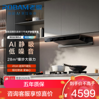 老板(Robam)抽油烟机28风量1380Pa静压 双腔变频大吸力烟灶联动 定时防干烧烟灶套餐E2P+51B0AS