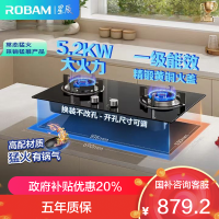老板[星辰系列]燃气灶家用双灶嵌入式煤气灶5.2kW可调节小尺寸灶具灶台猛火灶一级能效20B2A天然气