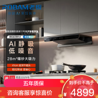 老板(Robam)抽油烟机28风量1380Pa静压 双腔变频大吸力烟灶联动 定时防干烧烟灶套餐E2P+51B0AS