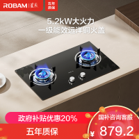 老板[星辰系列]燃气灶家用双灶嵌入式煤气灶5.2kW可调节小尺寸灶具灶台猛火灶一级能效20B2A天然气
