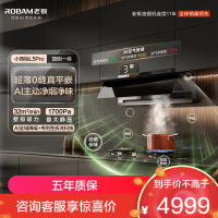 老板[小西柚L5 Pro]抽油烟机32风量大吸力超薄平嵌 AI主动净烟灵犀烟灶联动 烟灶套装L5P+D2 天然气