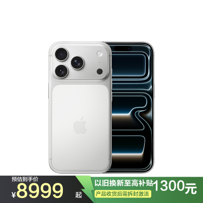Apple iPhone 17 Pro 256G 银色
