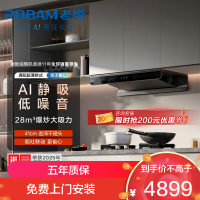 老板(Robam)抽油烟机28风量1380Pa静压 双腔变频大吸力烟灶联动 定时防干烧烟灶套餐E2P+51B0AS