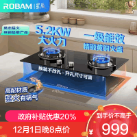 老板(Robam)[星辰系列]燃气灶家用双灶嵌入式煤气灶5.2kW可调节小尺寸灶具灶台猛火灶一级能效20B2A天然气