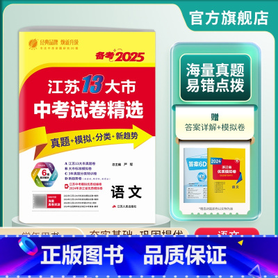语文 九年级/初中三年级 [正版]备考2025年新版江苏省中考语文冲刺试卷2024江苏省中考语文真题试卷精选 九年级下