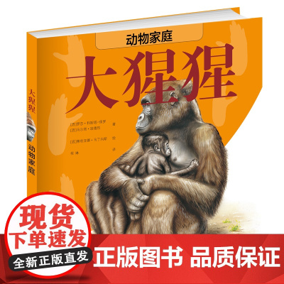 动物家庭:大猩猩