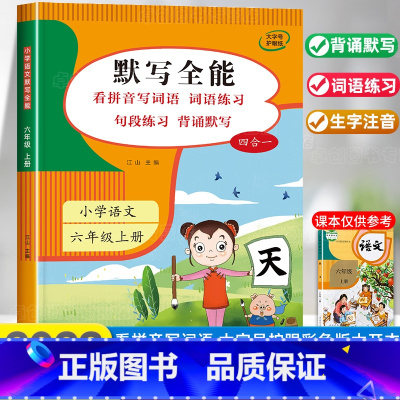 默写全能 六年级上 [正版]语文默写能手六年级上册看拼音写词语生字注音专项训练 积累与默写全能人教版6上小达人练习册课堂