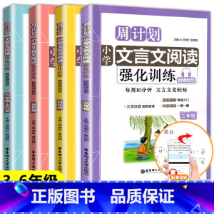 周计划 文言文阅读强化训练 小学五年级 [正版]2023新版周计划语文阅读文言文强化训练全套4本三年级四五六年级小学人教