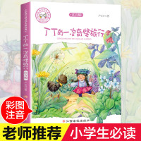 [ ]丁丁的一次奇怪旅行书注音版 小学一 二 三 四 年级课外书带拼音彩图儿童文学6-12岁课外阅读书籍班