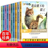 百年经典儿童文学[全10册] [正版]百年经典儿童文学冰心奖全套名家名作系列 我家楼下的猫王魔法学校小学生课外书阅读书籍
