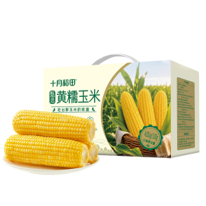 十月稻田臻选鲜食黄糯玉米1.32kg(220g*6)
