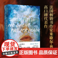 别放开我的手(米歇尔?普西高口碑代表作,一部颠覆读者认知的犯罪悬疑推理 米歇尔·普西 湖南文艺出版社 正版书籍