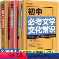 初中语文知识大全(全套3册) 初中通用 [正版]初中必背古诗文133篇人教版同步古诗词文言文全解译注与赏析初中生必背古诗