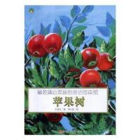 正版新书](精装绘本)蒲公英原创童话绘本馆苹果树王爱军97875593