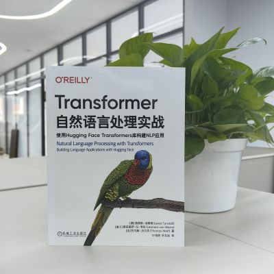 TRANSFORMER自然语言处理实战:使用HUGGING FACE TRANSFORMERS库构建NLP应用