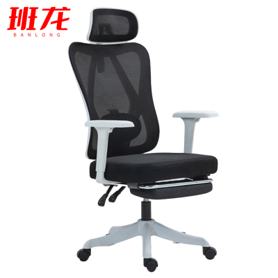 班龙休闲椅白框黑网张