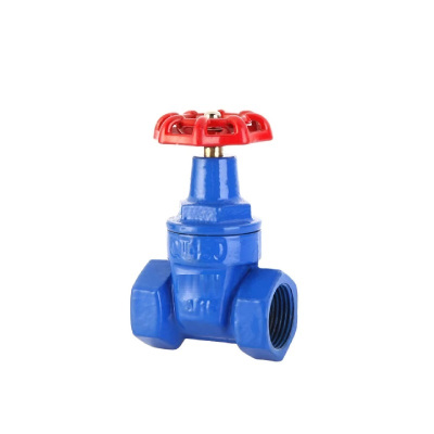 伟鹏双兴 蓝色丝扣软密封闸阀 DN25 台