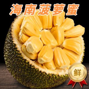 [熊猫鸟]海南黄肉菠萝蜜 新鲜水果 香甜可口 1个 净重15-20斤