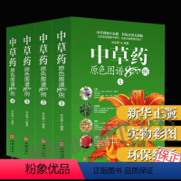 [正版]中草药原色图谱800例(1-4) 林余霖 中国药典中药原色图谱彩图版精装 图解中草药中药材彩色图谱