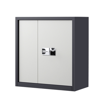 风雷动指纹电子保密柜钢制密码文件柜档案柜矮柜保密资料柜办公柜单节灰白国保指纹